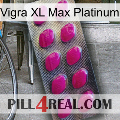 Vigra Xl Max Platinum 09